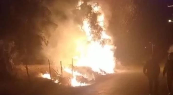 Zeytin ağaçlarının yakılmasının ardından nöbet tutan köylüler rahat bir gece geçirdi