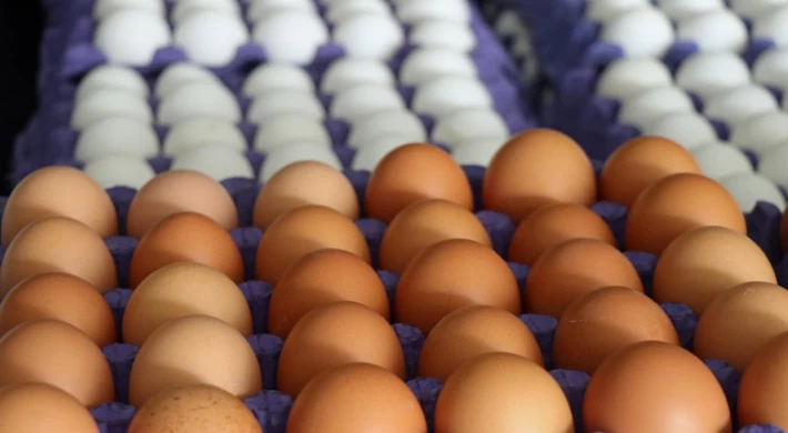 İngiltere’de yumurta satışına kısıtlama