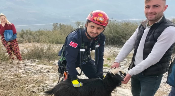 Kayalıklarda mahsur kalan keçiyi itfaiye ekipleri kurtardı
