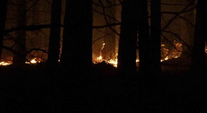 Kaz Dağları’nda ormanlık alanda örtü yangını çıktı