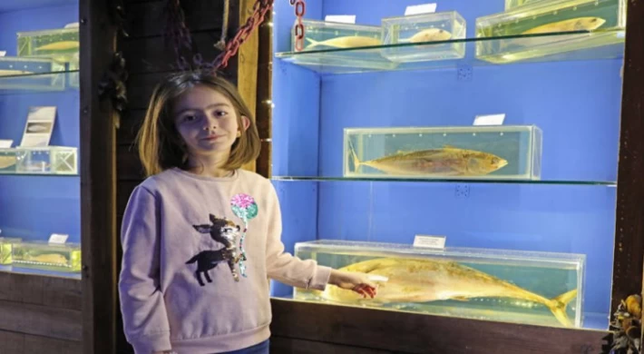 Deniz Biyoloji Müzesi’ndeki balıklar yenilenecek