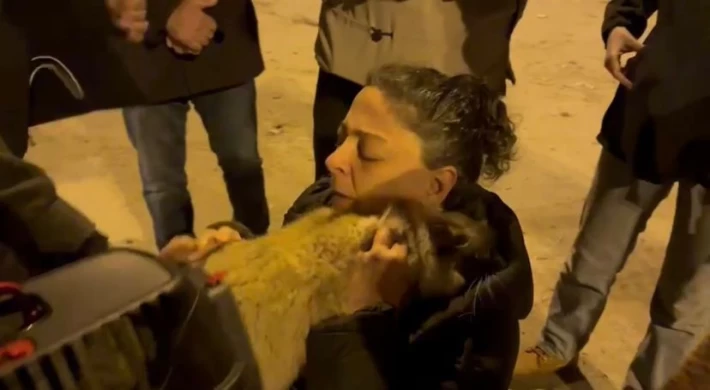 Diyarbakır’da 17 gündür enkazda olan 2 kedi kurtarıldı