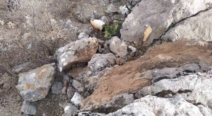 Deprem sonrası dağdan kopan dev kaya parçaları tehlike saçıyor