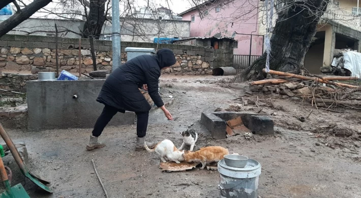 Depremden sonra sel vurdu ama o sokak kedilerini ihmal etmedi