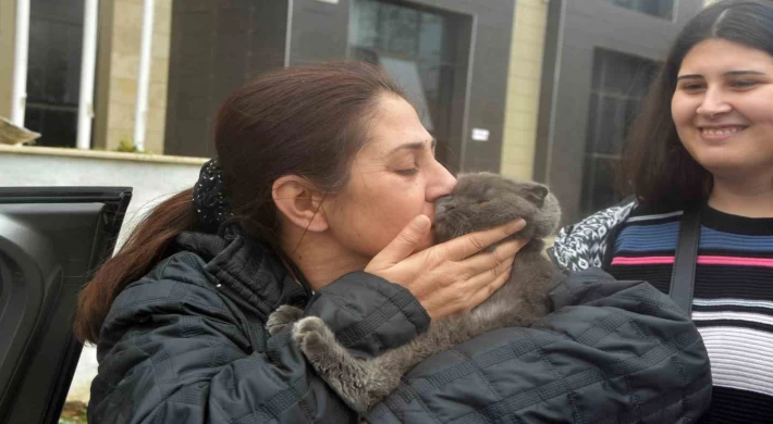 Depremzede aile 28 gün sonra kedisine kavuştu
