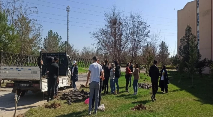 Dicle Üniversitesi, hayatını kaybeden personel ve öğrencileri adına hatıra ormanı oluşturdu