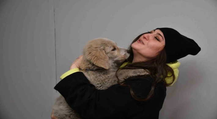 Kahramanmaraş’ta enkaz altından kurtarılan köpek Trabzon’da sahiplendirildi