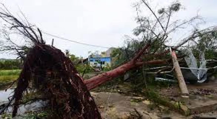 Şiddetli rüzgar 66 ağacı devirdi: 5 yaralı