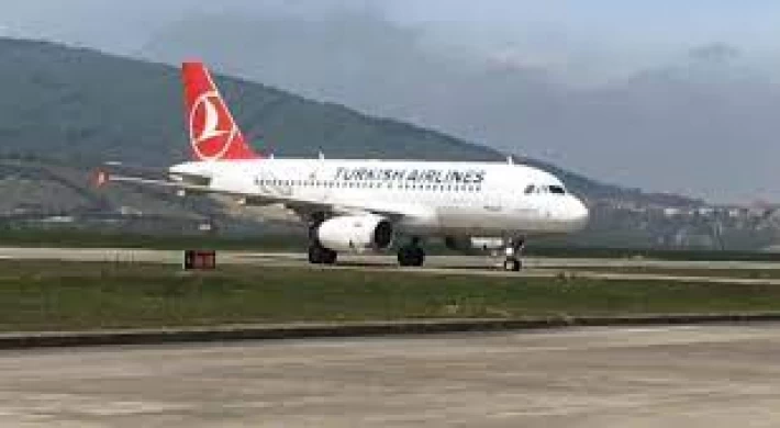 Yasak meyve koku detektörlerini harekete geçirdi, THY uçağı İstanbul’a geri döndü