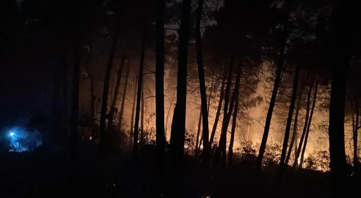 İstanbul’un Çekmeköy ilçesinde ormanlık alanda çıkan yangına itfaiye ekipleri müdahale ediyor.