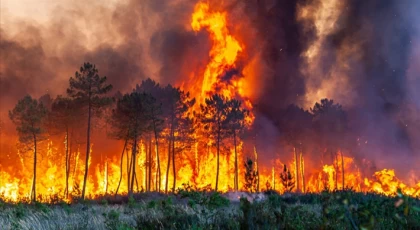 Bakan Kirişci: “Bu yıl 12 bin 384 hektar alan yandı”