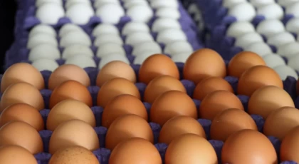 İngiltere’de yumurta satışına kısıtlama