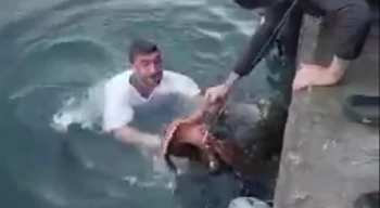 6 kiloluk ahtapotu denize atlayıp eliyle yakaladı