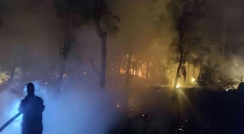 Adana'da Orman yangını erken müdahale ile söndürüldü