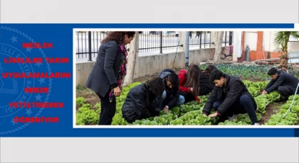Meslek Liseliler Tarım Uygulamalarını Sebze Yetiştirerek Öğreniyor