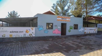 Türkiye’nin en büyük hayvan rehabilitasyon merkezi Gaziantep’e kuruldu