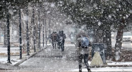 ABD’de eksi 78 dereceye düşen ”rüzgar soğuğu” rekoru kırıldı