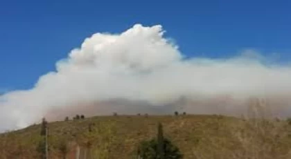 Orman yangını: Binden fazla kişi tahliye edildi