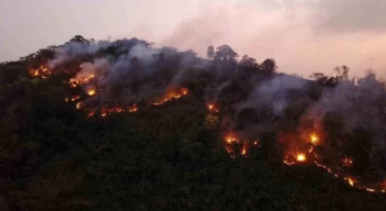 Tayland’da yıldırım düşmesi sonucu milli parkta yangın çıktı
