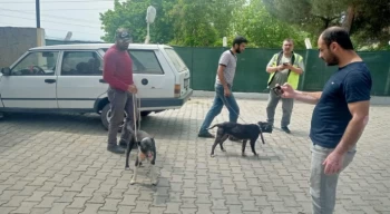 Manisa’da pitbull ile oklu kirpi avlayan 6 kişiye 138 bin 198 lira para cezası