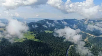 Sis bulutları ile kaplanan Ilgaz Dağı’nda mest eden görüntüler