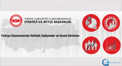 Türkiye Ekonomisinde Haftalık Gelişmeler ve Genel Görünüm 8.09.2023