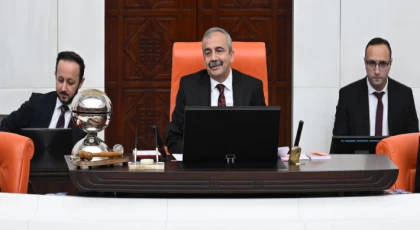TBMM Genel Kurulu, Meclis Başkanvekili Sırrı Süreyya Önder başkanlığında toplandı.