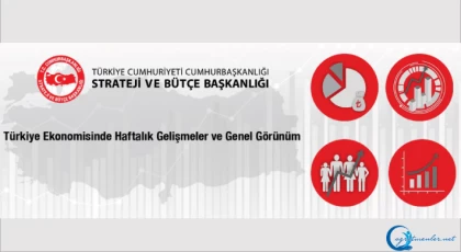 Türkiye Ekonomisinde Haftalık Gelişmeler ve Genel Görünüm 10.11.2023
