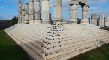 ’Apollon Smintheus Tapınağı’nda ziyaretçileri fareler karşılıyor