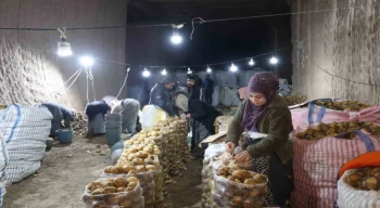Türkiye’nin patates ihtiyacı Kapadokya’daki depolardan karşılanıyor