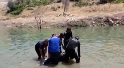 Yüzmek için girdiği gölette boğuldu