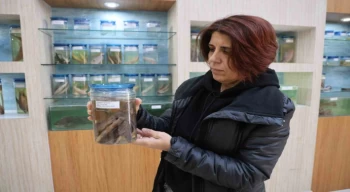 Elazığ’daki ‘Balık Müzesi’ büyük ilgi görüyor