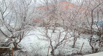 Posof’ta kar yağışı etkili oldu