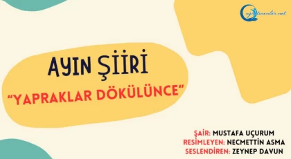 "Türkçem, Benim Ses Bayrağım" - Ayın Şiiri: Yapraklar Dökülünce