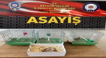 Batman’da satışı yasak hayvanları pazarlayan şahsa 19 bin 200 lira ceza