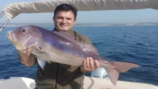 Saros’da yakalanan balık şaşkınlık yarattı